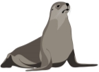 Seal Animal Vector Image Stock Illustration - Download Image Now - Seal -  Animal, Animal, Sea - iStock